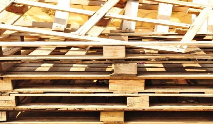 Sustainable Solutions: Embracing Wood Recycling in Singapore