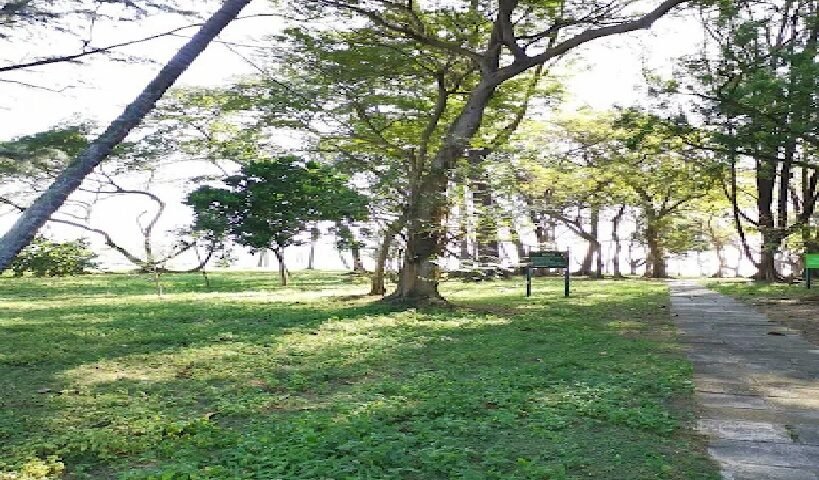 Discovering the Wonders of Sisters' Islands Marine Park