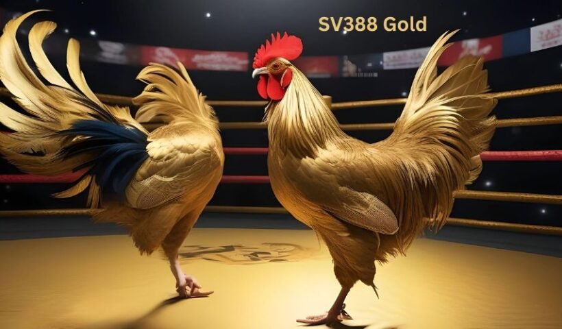 SV388 Gold