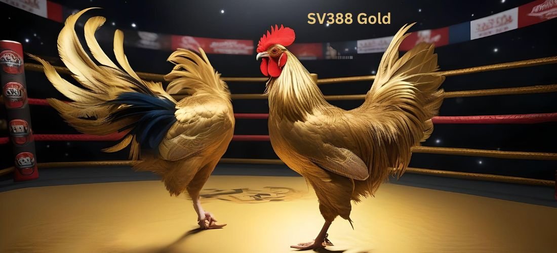 SV388 Gold